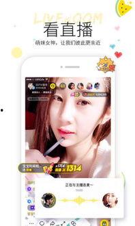 今日吃瓜视频完整版 网红大瓜下载,今日吃瓜视频完整版深度解析